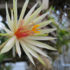 Синонимы